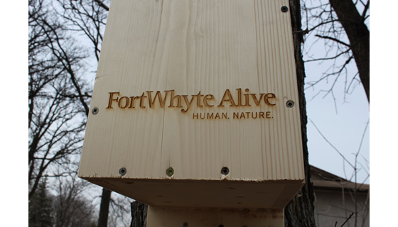 Signage - Fort Whyte Alive Wood Duck Box Signage - Fort Whyte Alive Wood Duck Box